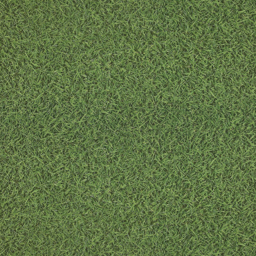 Кварцвиниловая плитка (ламинат) LVT для пола Decoria Газонная трава DGS 1369, Трава, 470x470 мм