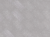 Кварцвиниловая плитка LVT для пола Ecoclick EcoStone NOX-1668 Фицрой