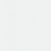 Панель ПВХ (пластиковая) ламинированная Век G-031 белая 3000*250*9